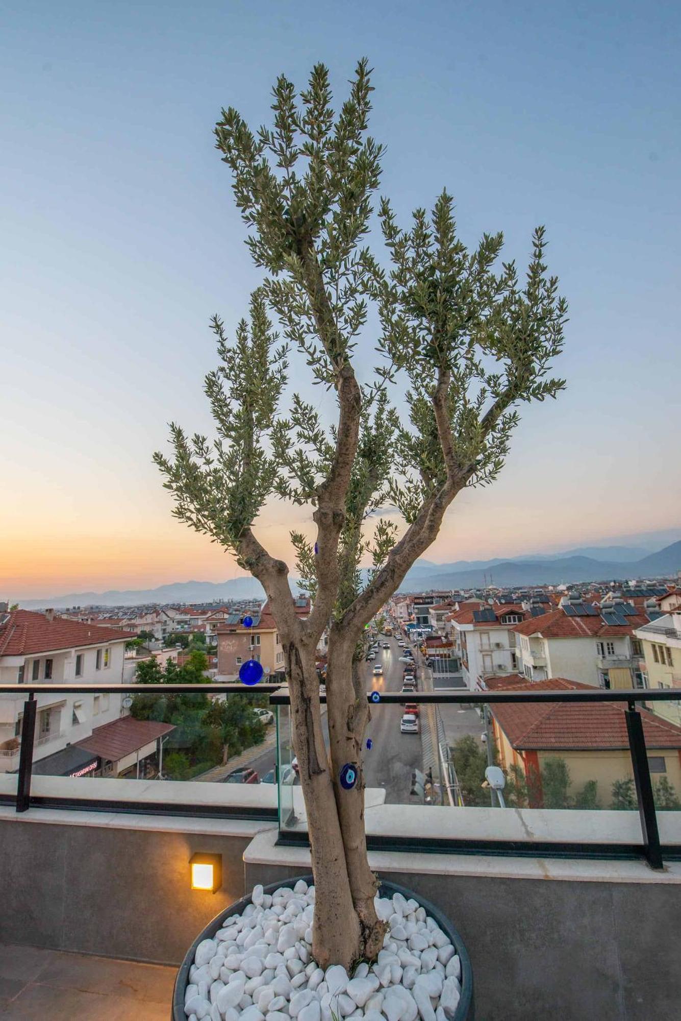 Belci City House Fethiye Eksteriør bilde